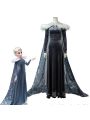 Frozen Adventure Elsa the Snow Queen Movie Cosplay Costumes