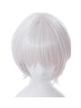 Fate/Apocrypha Assassin of Black Jack the Ripper Silver Cosplay Wigs 