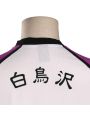 Haikyū!! Karasuno High School vs Shiratorizawa Academy Semi Eita Number 3 Volleyball Sportswear Cosplay Costumes