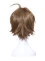 Short Anime Cosplay Wigs
