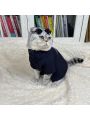 Jujutsu Kaisen Gojou Satoru Cat Costumer  Headgear Glasses Cosplay
