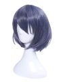 Cosplay Woman Wigs
