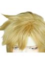 The Legend of Zelda Breath of the Wild Link Blond Cosplay Wigs