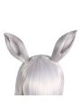 Uma Musume Pretty Derby Gold Ship White Long Cosplay Wigs With Ears
