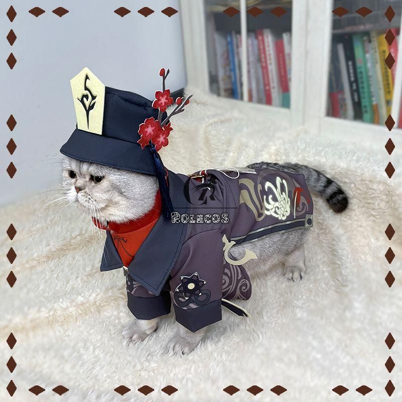 The Japanese cat with over 100 cosplay costumes  SoraNews24 Japan News