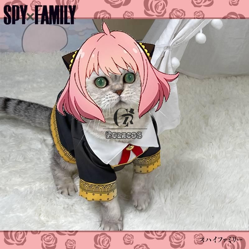 Buy Anime Cat Costume Online In India  Etsy India