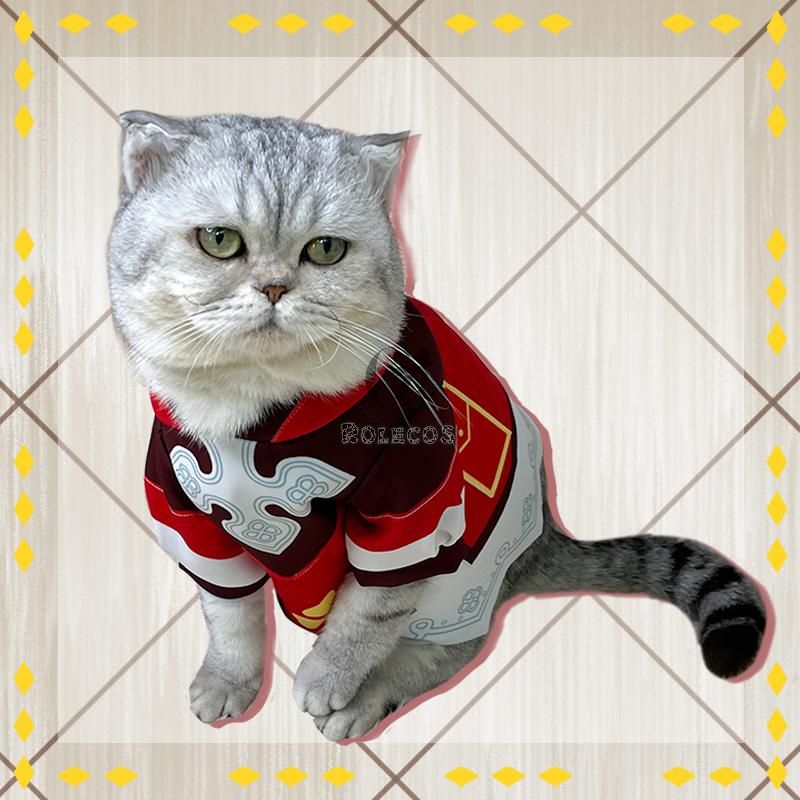 Game Genshin Impact Klee Cat Cosplay Costume